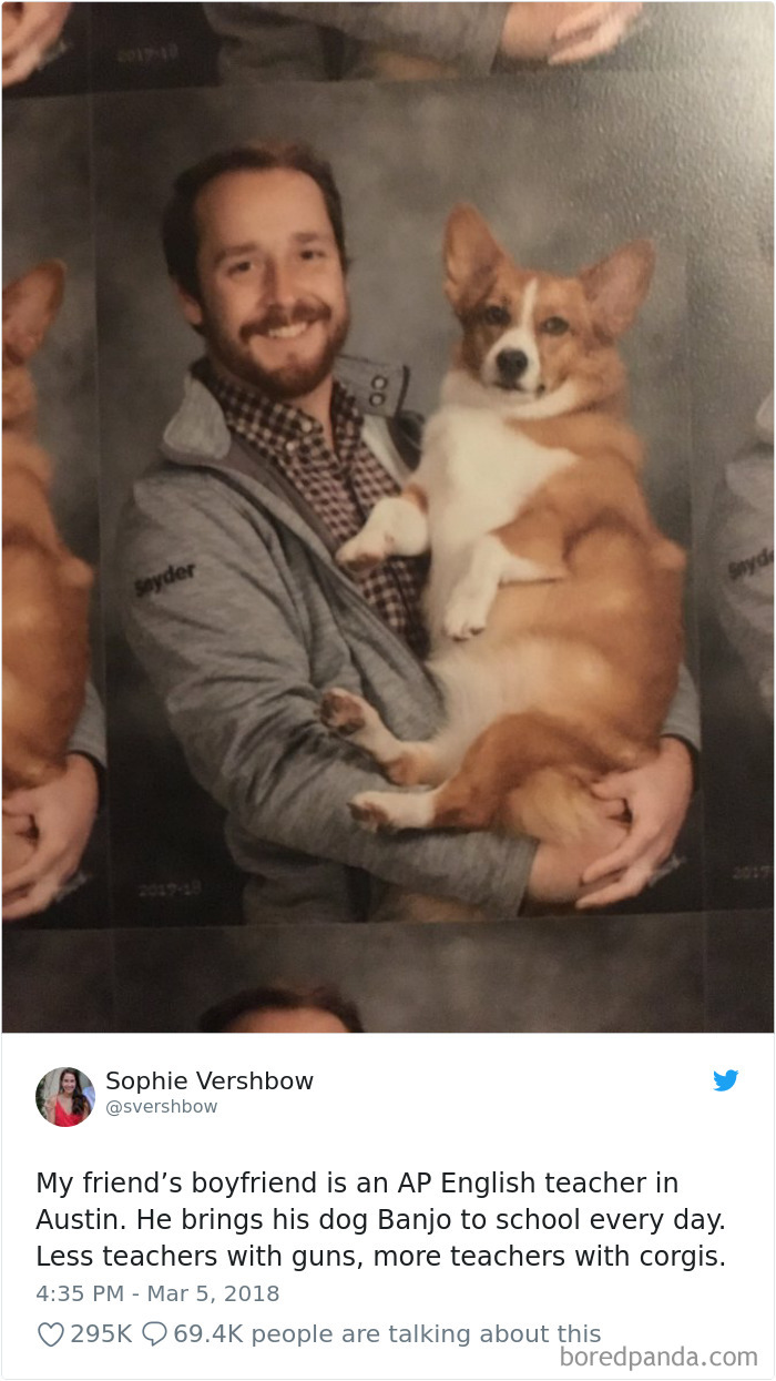 Hilarious-Dog-Tweets