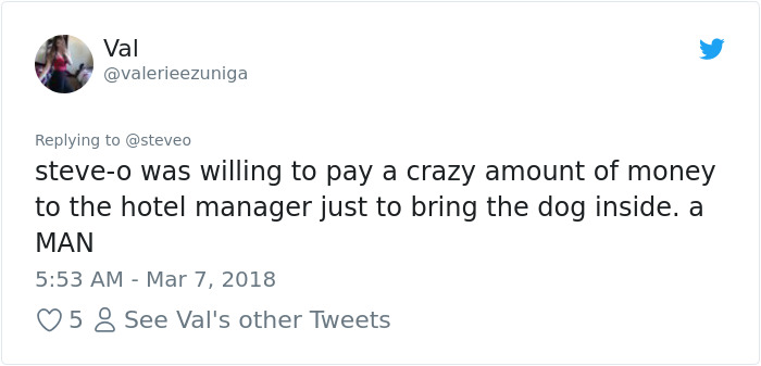 Steve-O Found A Stray Dog On The Streets Of Peru, Washed Her And They Became Best Friends Steve-O Found A Stray Dog On The Streets Of Peru, Washed Her And They Became Best Friends
