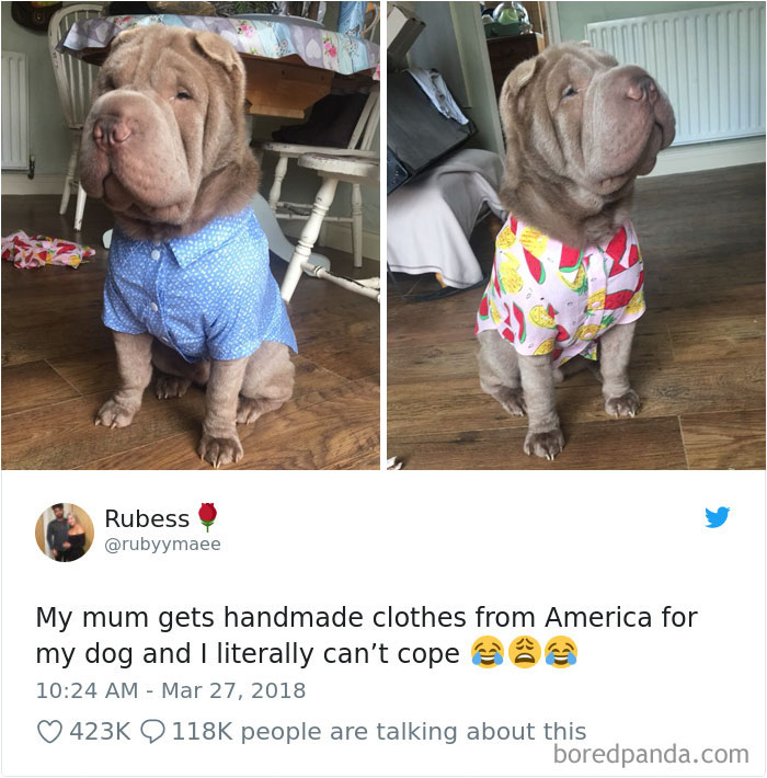 Hilarious-Dog-Tweets