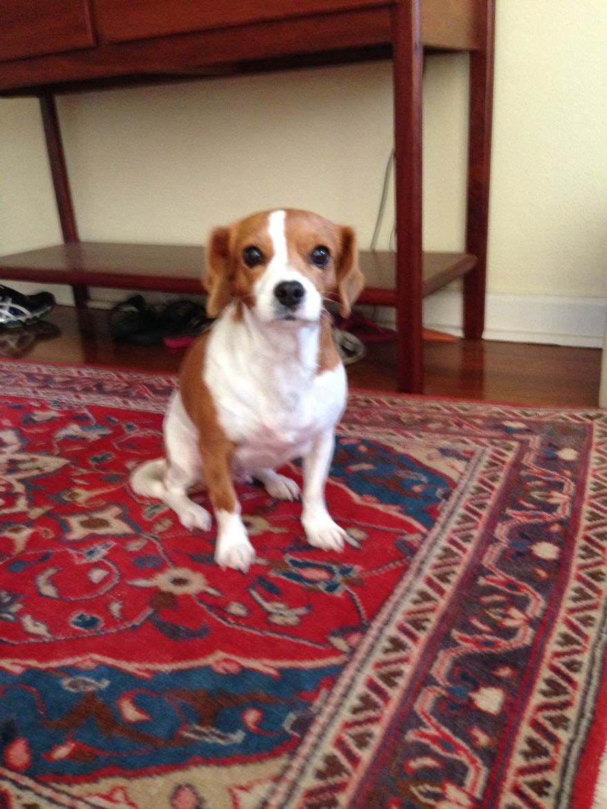 Abandoned At 4 Months Abandoned At 4 Months