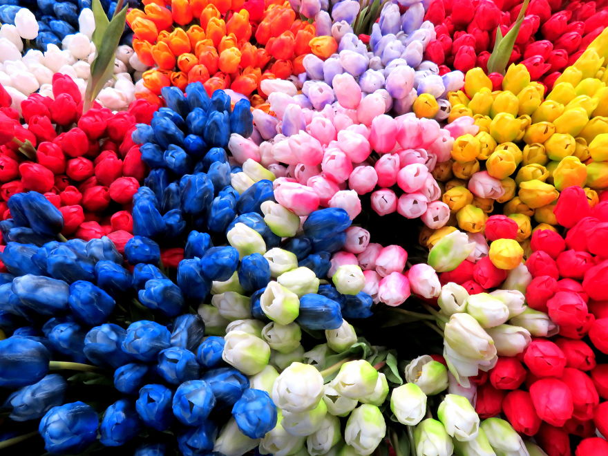 Amsterdam, Netherlands