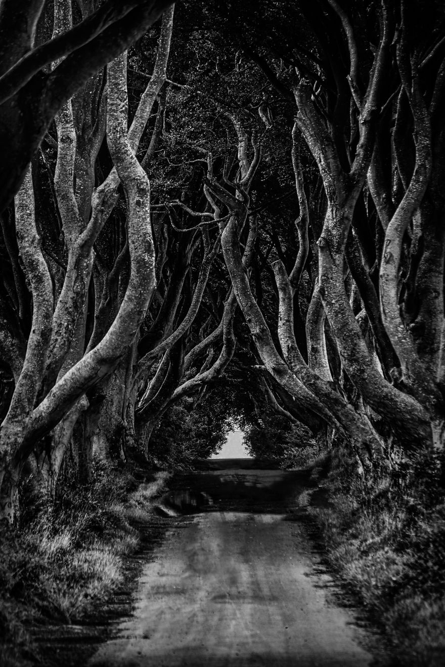 My Trip Around Ireland