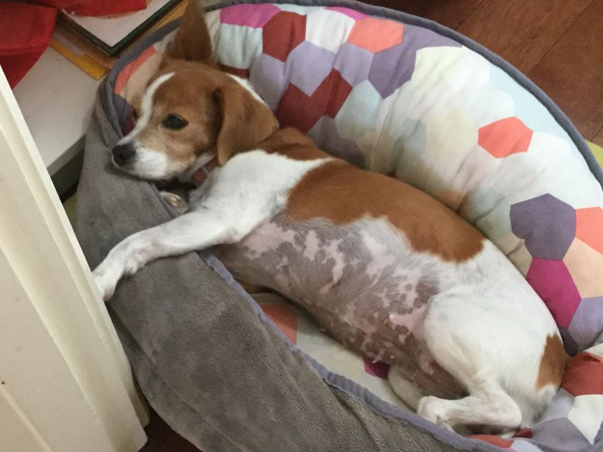 Abandoned At 4 Months Abandoned At 4 Months