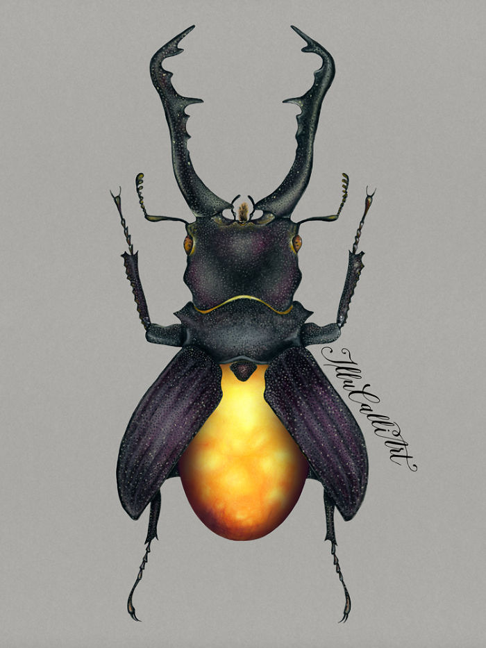 I Drew Beetles That Hide Colourful Minerals Underneath Their Shiny Wing Cases I Drew Beetles That Hide Colourful Minerals Underneath Their Shiny Wing Cases