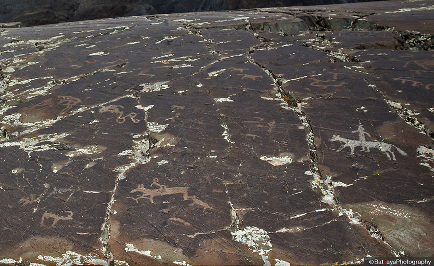 I Captured Horse Photos Showing Mongolia's Unchanged Nomadic Culture I Captured Horse Photos Showing Mongolia's Unchanged Nomadic Culture