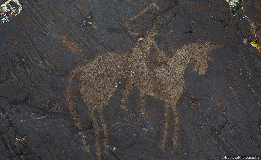 I Captured Horse Photos Showing Mongolia's Unchanged Nomadic Culture