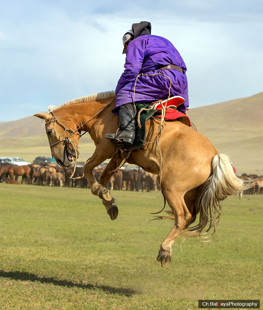 I Captured Horse Photos Showing Mongolia's Unchanged Nomadic Culture I Captured Horse Photos Showing Mongolia's Unchanged Nomadic Culture