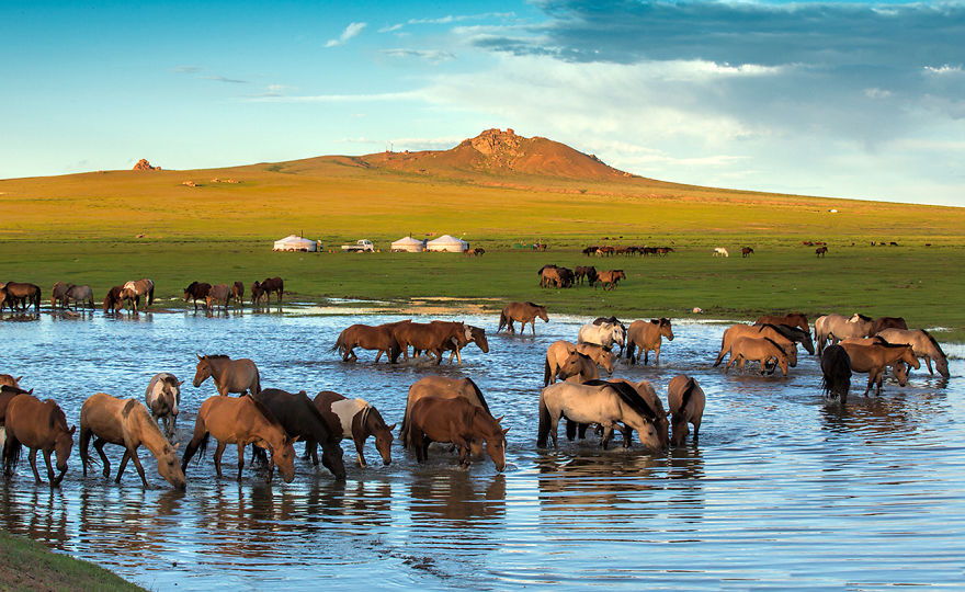 I Captured Horse Photos Showing Mongolia's Unchanged Nomadic Culture