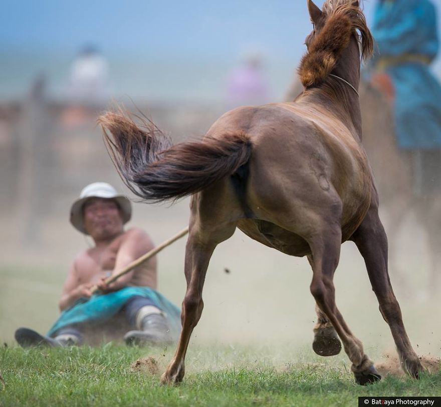 I Captured Horse Photos Showing Mongolia's Unchanged Nomadic Culture I Captured Horse Photos Showing Mongolia's Unchanged Nomadic Culture