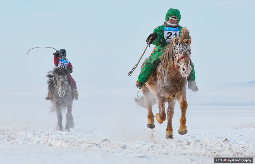 I Captured Horse Photos Showing Mongolia's Unchanged Nomadic Culture I Captured Horse Photos Showing Mongolia's Unchanged Nomadic Culture