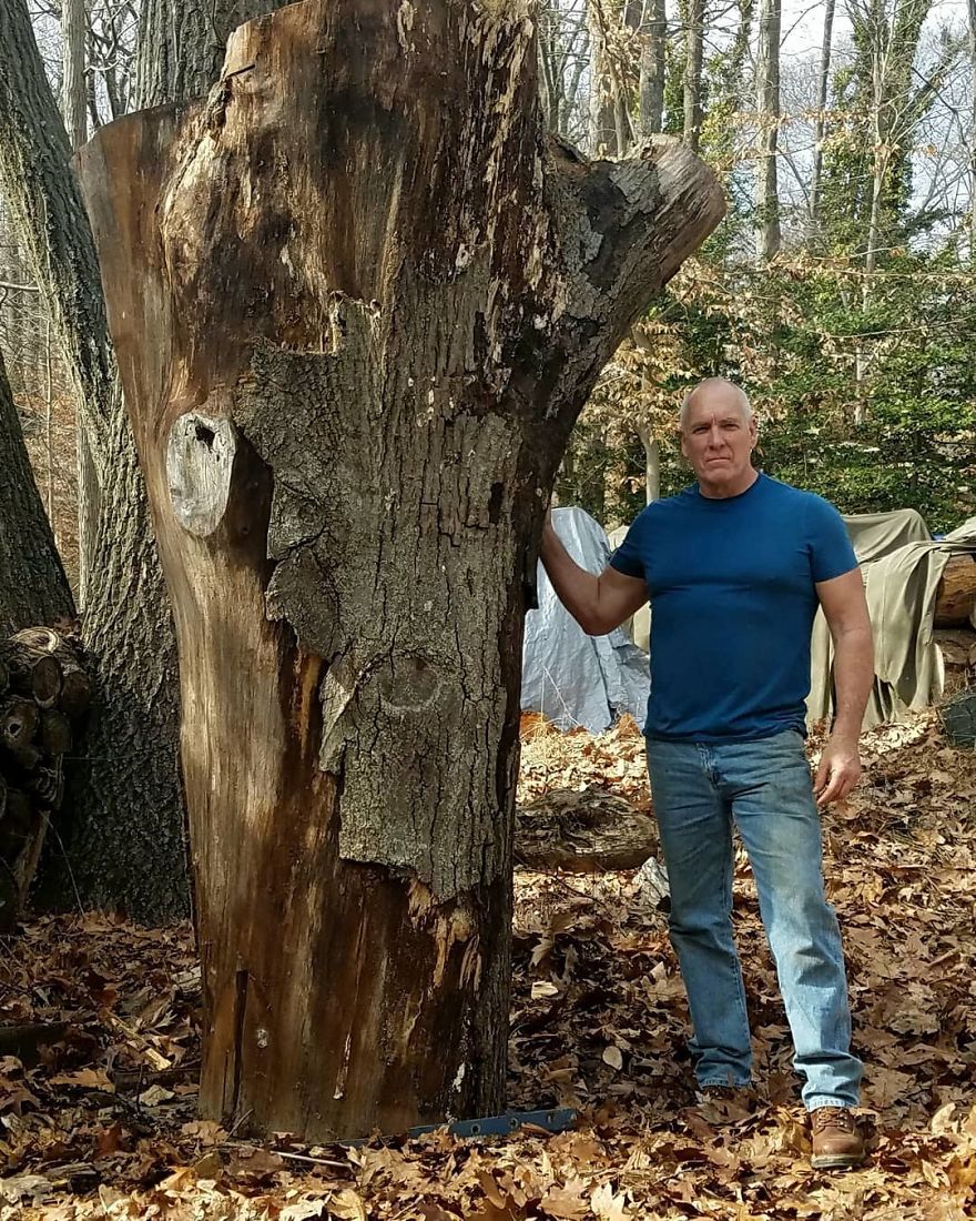 Sculptor Creates A Life-Size Statue Of Arnold Schwarzenegger Out Of Tree Trunk Sculptor Creates A Life-Size Statue Of Arnold Schwarzenegger Out Of Tree Trunk