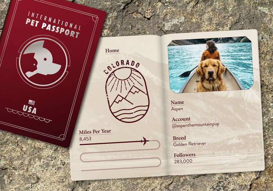 The Jet Set Pets Of Instagram - Who Travel Way More Than Us