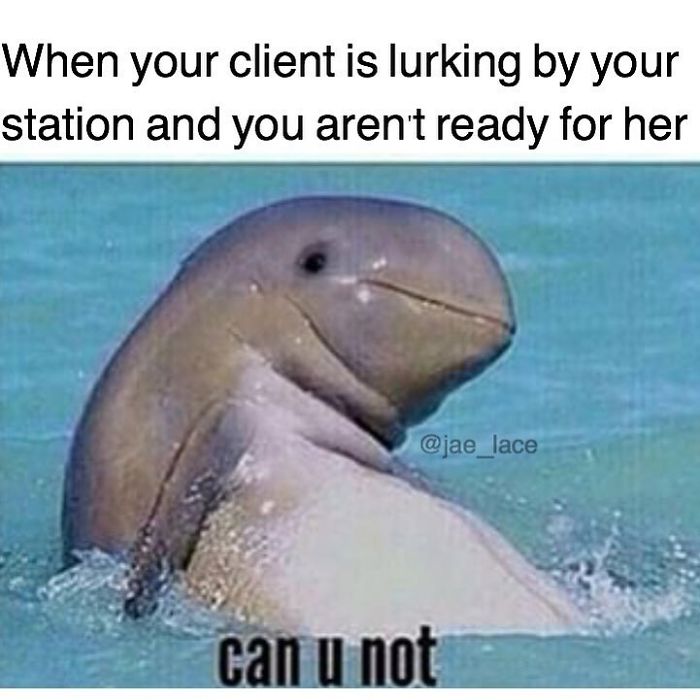 Smiling dolphin meme humorously captures hairstylist's client anticipation moment.