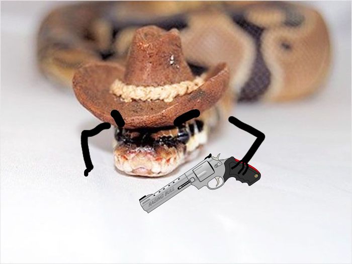 It’ssssss High Noon