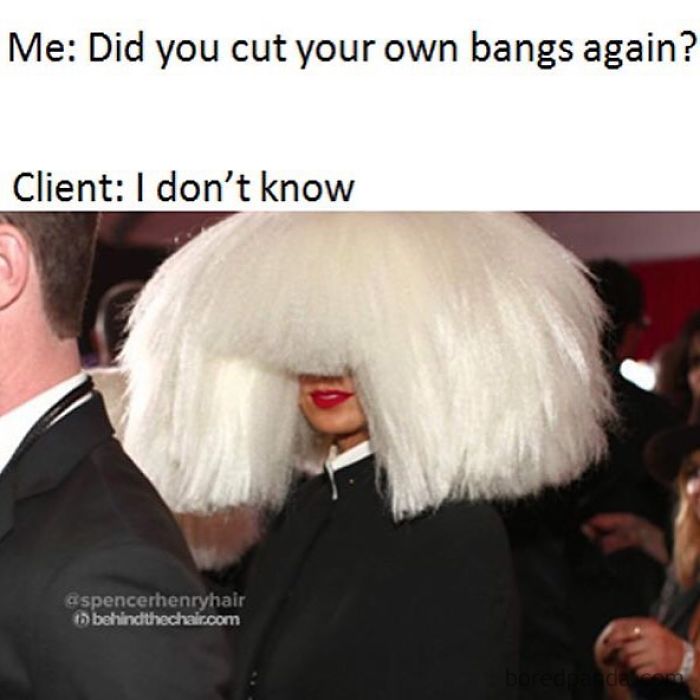 Huge fluffy wig hides woman's face, funny meme about hairstylist's struggles.