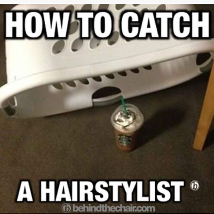A coffee under a laundry basket trap with text "How to catch a hairstylist," humorously joking about hairstylists.