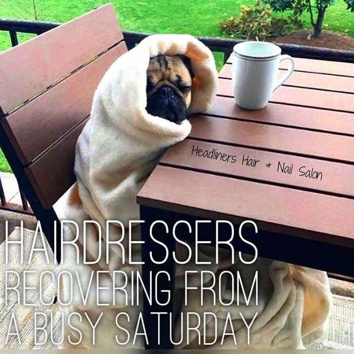 Pug wrapped in blanket on patio chair, resembling a hairstylist recovering with coffee after a busy day.