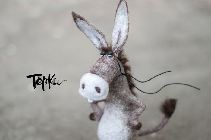 Why The Donkey Has Such Long, Long Ears?