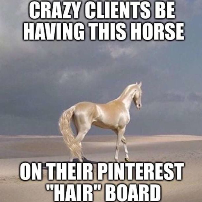 A horse in a desert with humorous text about hairstylist clients and Pinterest hair boards.