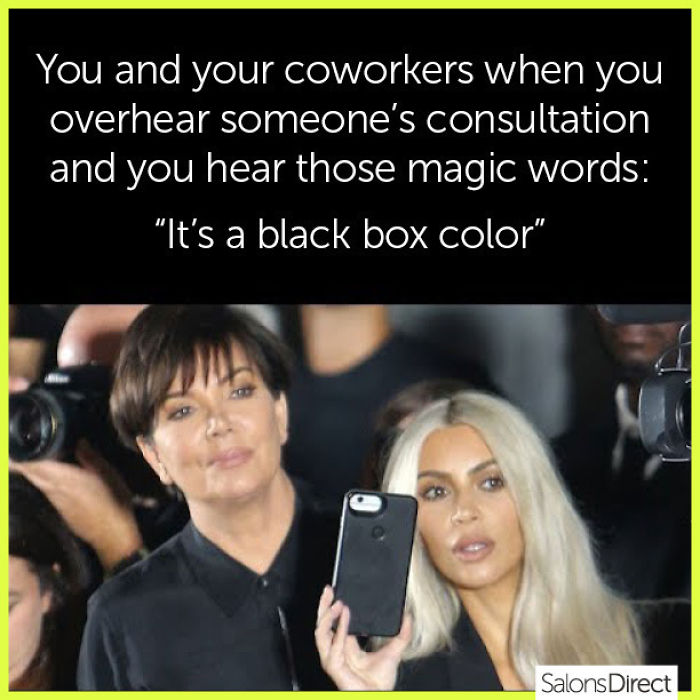 Hairstylist meme featuring two women, humorously reacting to a consultation about black box hair color.