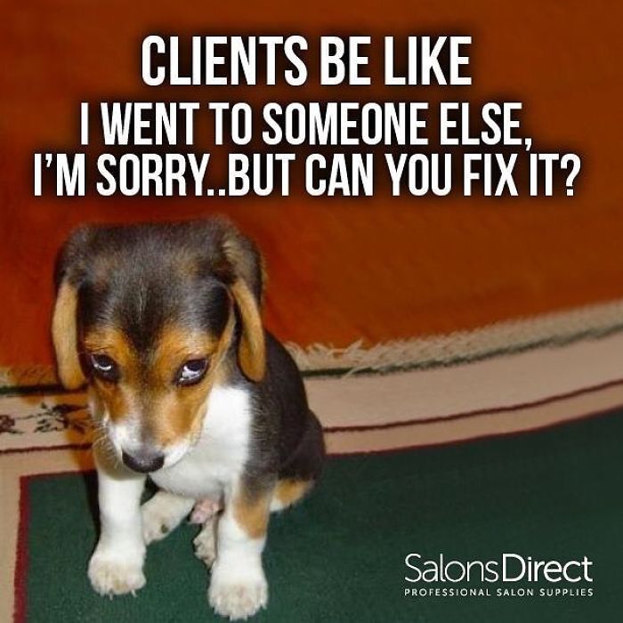 Sad puppy meme humorously reflects clients asking hairstylists to fix someone else's work.