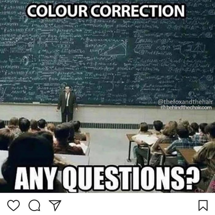 Hairstylist meme showing a teacher in front of a chalkboard full of complex equations, captioned "Colour Correction: Any Questions?"