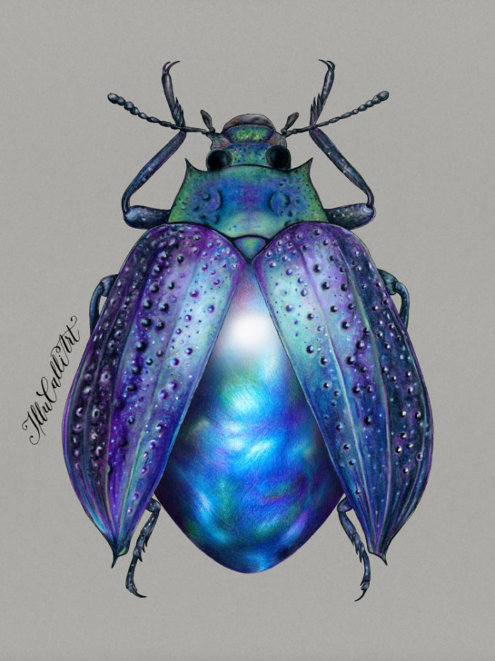 I Drew Beetles That Hide Colourful Minerals Underneath Their Shiny Wing Cases I Drew Beetles That Hide Colourful Minerals Underneath Their Shiny Wing Cases
