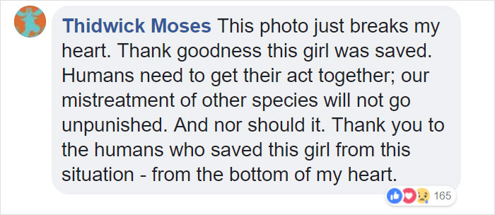 Dog Kept On Such A Short Chain She Could Never Rest Her Head Is Finally Rescued And The After Pics Will Bring You Joy Dog Kept On Such A Short Chain She Could Never Rest Her Head Is Finally Rescued And The After Pics Will Bring You Joy
