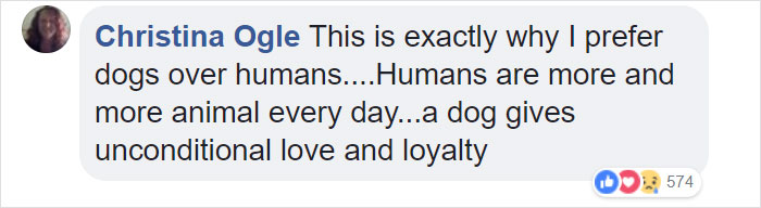 Dog Kept On Such A Short Chain She Could Never Rest Her Head Is Finally Rescued And The After Pics Will Bring You Joy