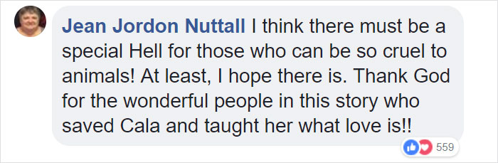 Dog Kept On Such A Short Chain She Could Never Rest Her Head Is Finally Rescued And The After Pics Will Bring You Joy Dog Kept On Such A Short Chain She Could Never Rest Her Head Is Finally Rescued And The After Pics Will Bring You Joy