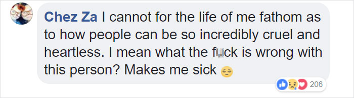 Dog Kept On Such A Short Chain She Could Never Rest Her Head Is Finally Rescued And The After Pics Will Bring You Joy