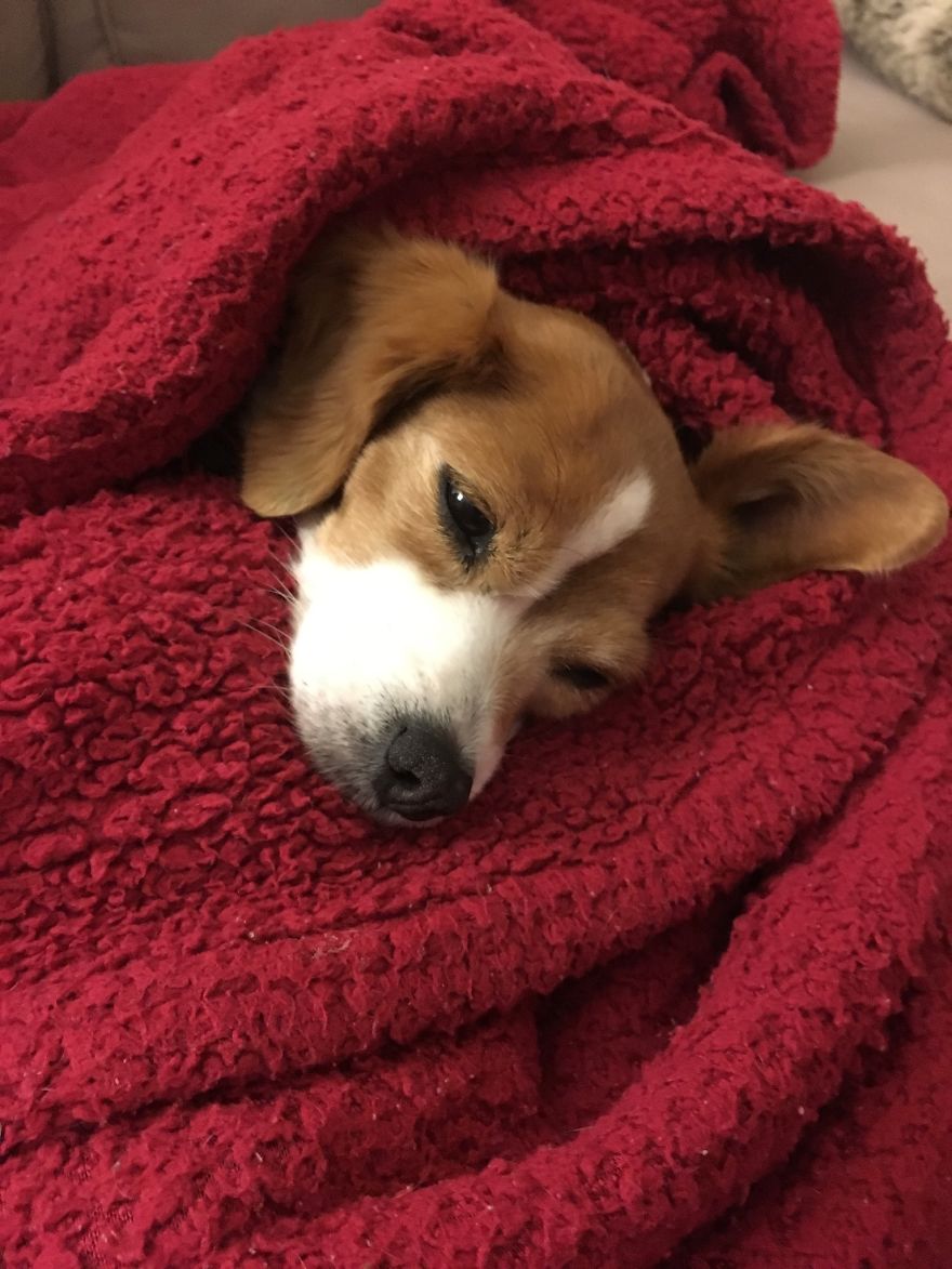 Abandoned At 4 Months Abandoned At 4 Months