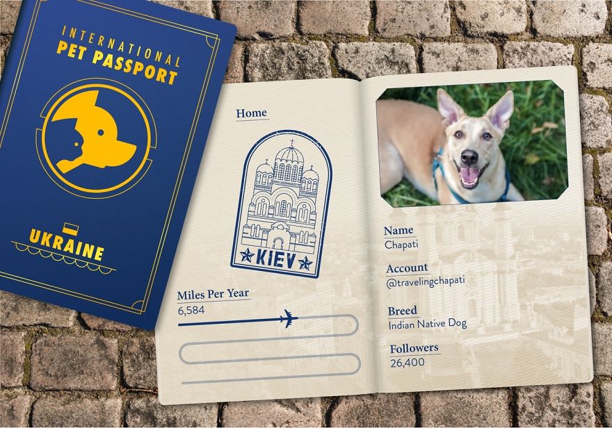 The Jet Set Pets Of Instagram - Who Travel Way More Than Us