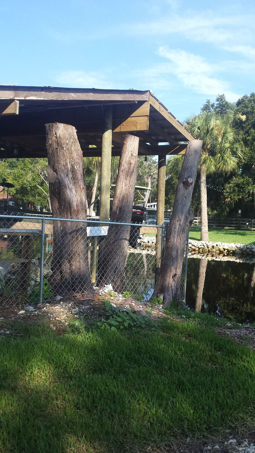 Creating Art Sculpture From Cedar Trees Damaged In A Hurricane