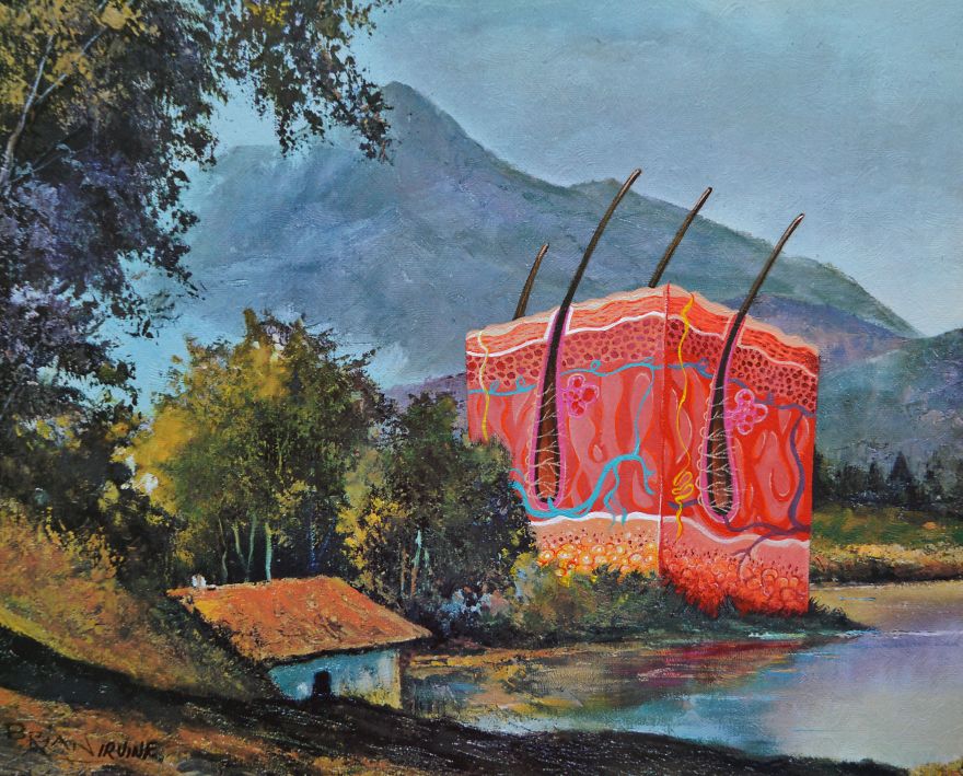 Skin Cross Section Next To Cottage