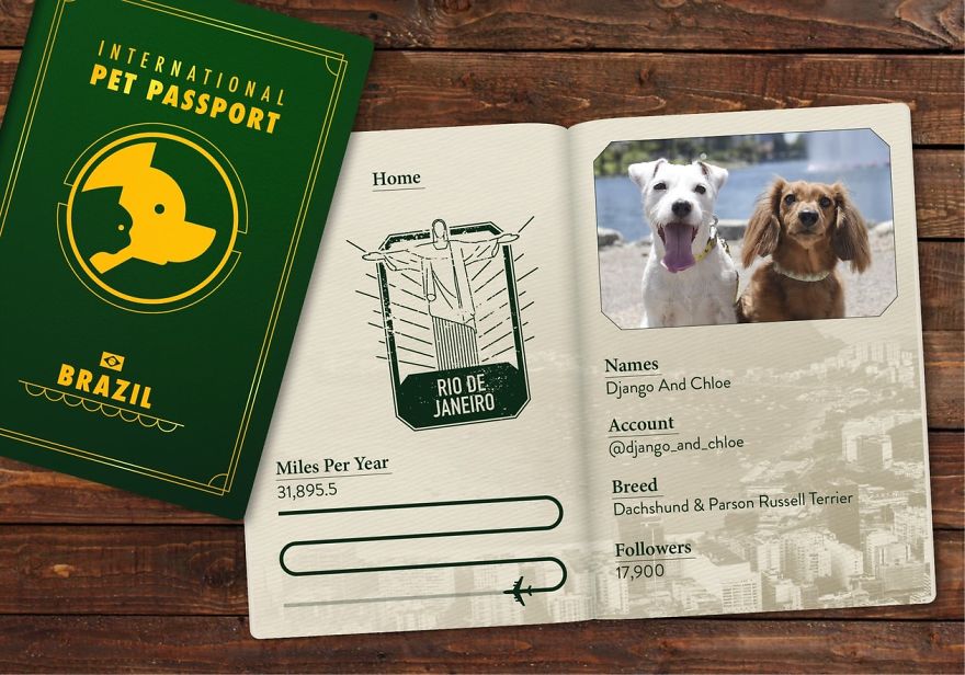 The Jet Set Pets Of Instagram - Who Travel Way More Than Us