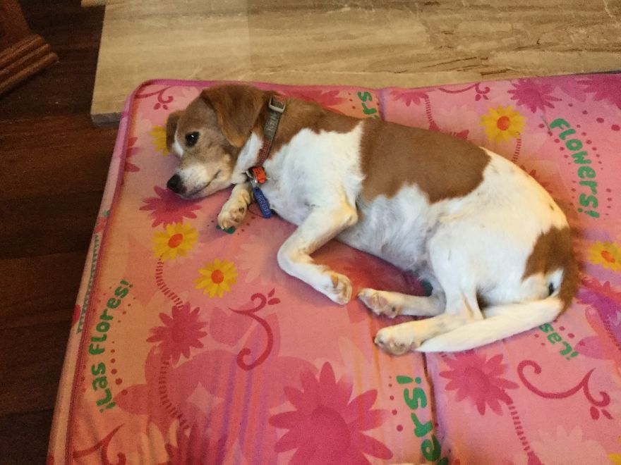 Abandoned At 4 Months Abandoned At 4 Months