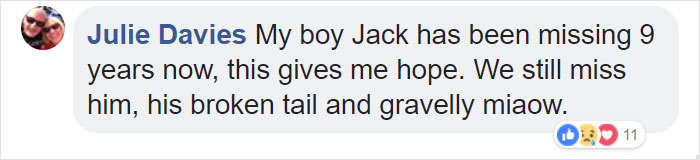 Elderly Cat Finds Its Way Home After 13 Years, And The Reunion Leaves Everybody In Tears Elderly Cat Finds Its Way Home After 13 Years, And The Reunion Leaves Everybody In Tears