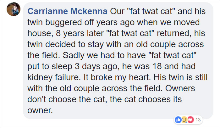 Elderly Cat Finds Its Way Home After 13 Years, And The Reunion Leaves Everybody In Tears Elderly Cat Finds Its Way Home After 13 Years, And The Reunion Leaves Everybody In Tears