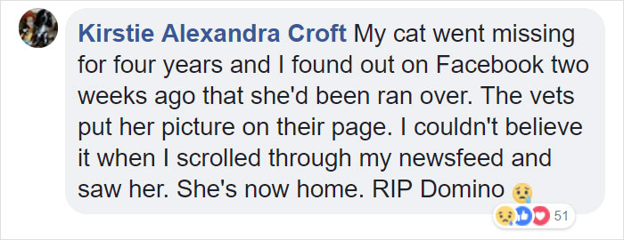 Elderly Cat Finds Its Way Home After 13 Years, And The Reunion Leaves Everybody In Tears Elderly Cat Finds Its Way Home After 13 Years, And The Reunion Leaves Everybody In Tears