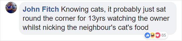 Elderly Cat Finds Its Way Home After 13 Years, And The Reunion Leaves Everybody In Tears