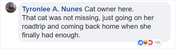 Elderly Cat Finds Its Way Home After 13 Years, And The Reunion Leaves Everybody In Tears