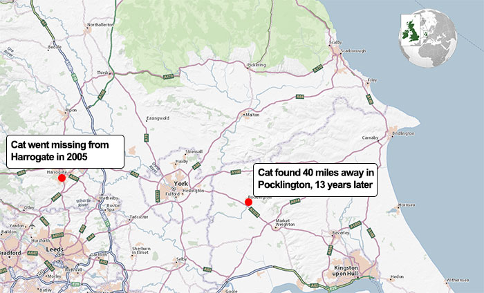 Elderly Cat Finds Its Way Home After 13 Years, And The Reunion Leaves Everybody In Tears Elderly Cat Finds Its Way Home After 13 Years, And The Reunion Leaves Everybody In Tears