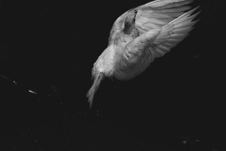 First Pictures That I Made In My Life Show People In Extreme Poverty I Witnessed In My Hometown