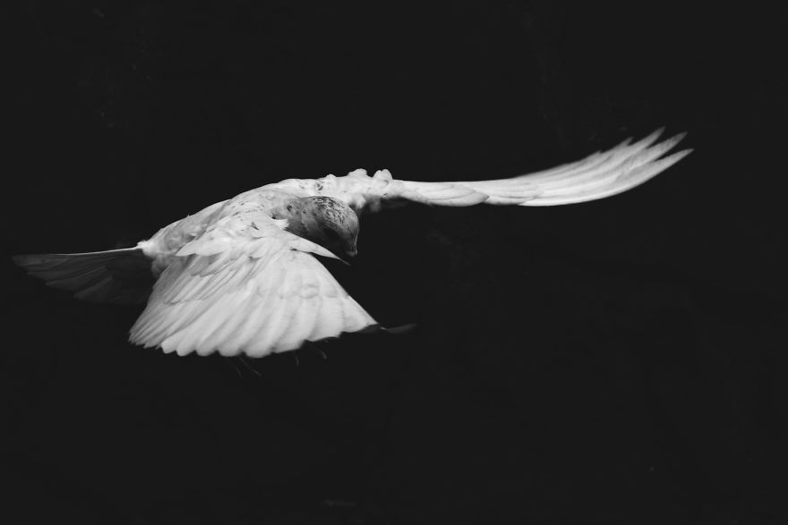 First Pictures That I Made In My Life Show People In Extreme Poverty I Witnessed In My Hometown