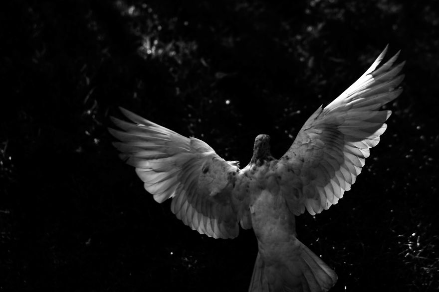 First Pictures That I Made In My Life Show People In Extreme Poverty I Witnessed In My Hometown