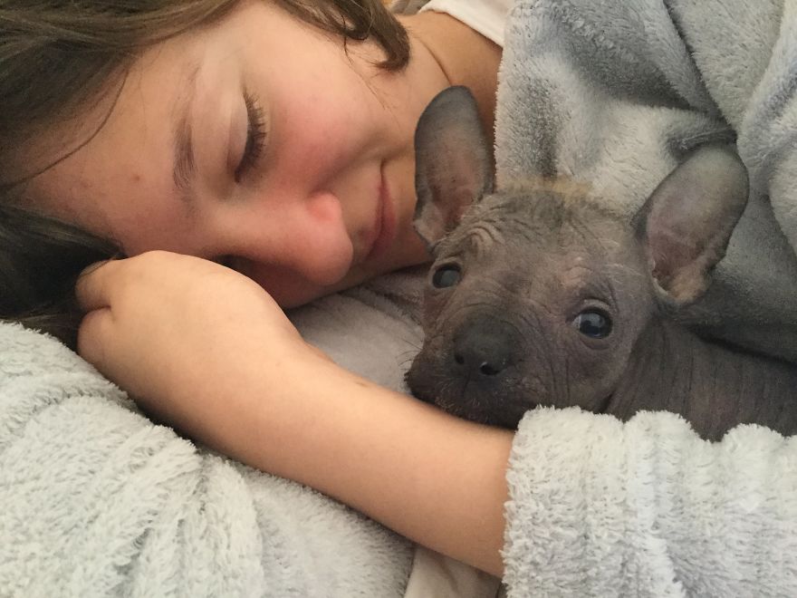 Hello Everyone! My Name Is Dumbo