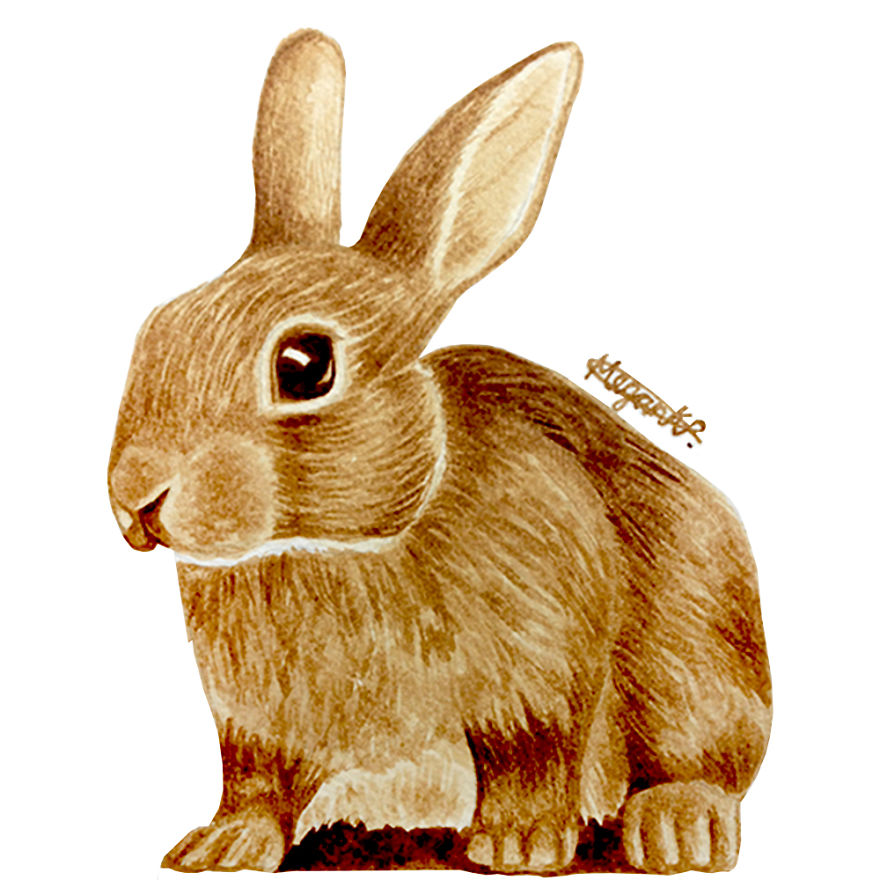 I Paint People And Animal Portraits Using Coffee