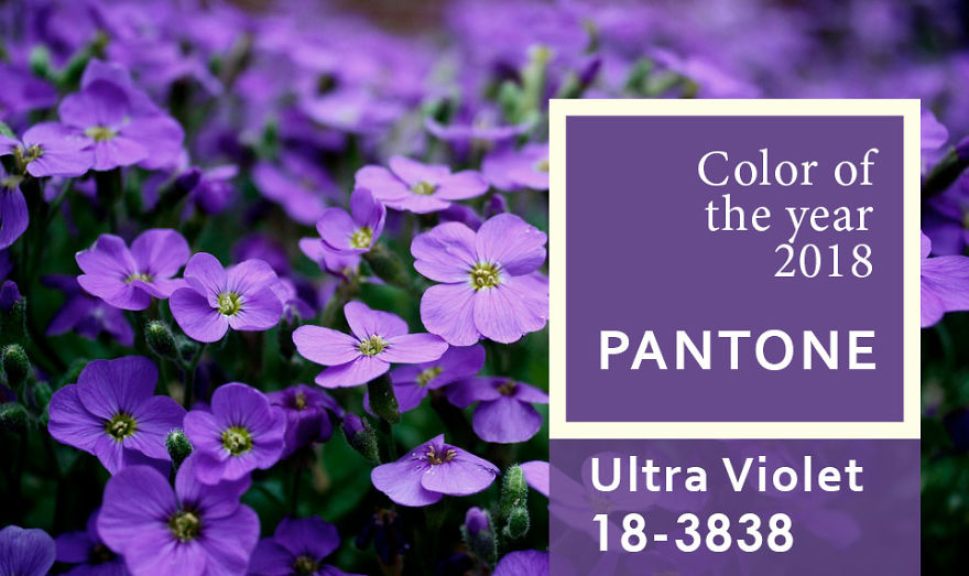 I've Been Finding Matches For Pantone Colors Of The Year Since 2000 To Inspire People To Use More Color In Their Lives I've Been Finding Matches For Pantone Colors Of The Year Since 2000 To Inspire People To Use More Color In Their Lives