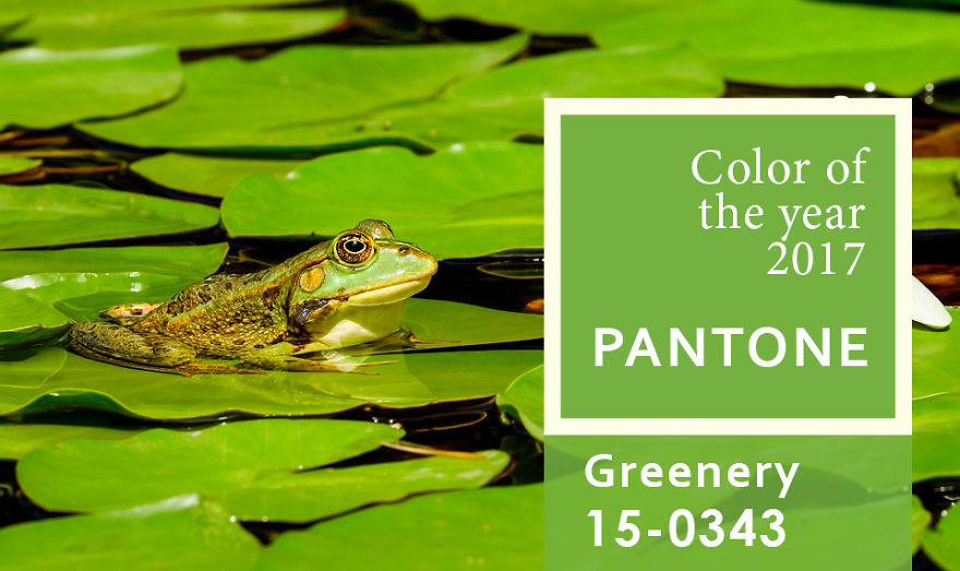 I've Been Finding Matches For Pantone Colors Of The Year Since 2000 To Inspire People To Use More Color In Their Lives I've Been Finding Matches For Pantone Colors Of The Year Since 2000 To Inspire People To Use More Color In Their Lives